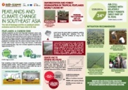 Peatlands and Climate Change in Southeast Asia